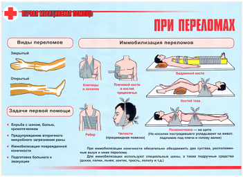 плакаты первая медицинская помощь купить в Екатеринбурге